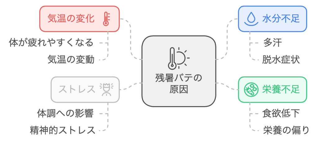 残暑バテの要因の図解